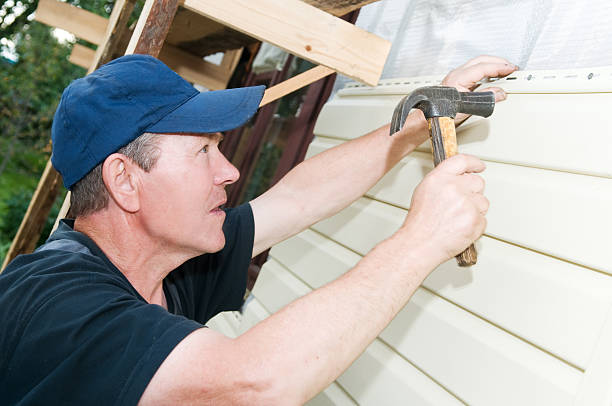 Best Custom Trim and Detailing for Siding  in South Les, AK