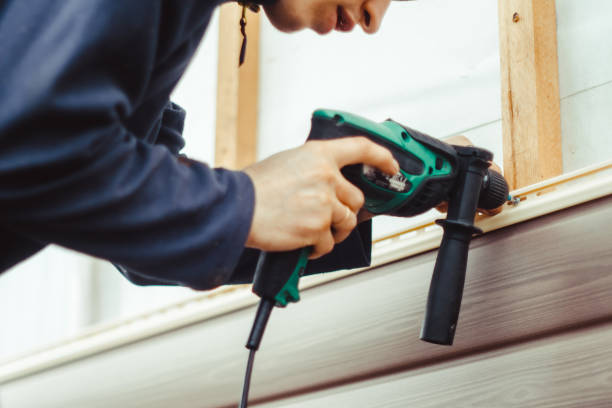Best Historical Building Siding Restoration  in South Les, AK